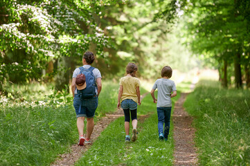 Naklejka na ściany i meble Frau und zwei Kinder wandern durch einen Wald im Sommer
