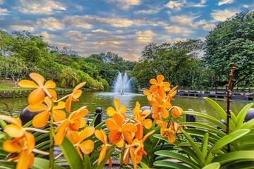Image of pond with fountain in bird park in Kuala Lumpur with colorful flowers in foreground