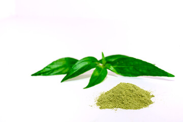 Andrographis paniculata leaves and powder from Andrographis paniculata Thai herbs and Chinese herbs...