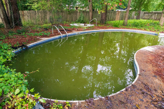 Swimming pool with green water Stock Photo | Adobe Stock