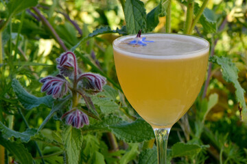Yellow Tequila cocktail with blue star Borage garnish