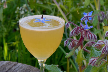 Yellow Tequila cocktail with blue star Borage garnish