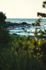 beautiful wild summer seaside with waves