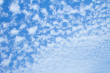 Fototapeta na wymiar Many beautiful small white clouds against the blue sky, copy space. Blue sky with clouds, free space. Clouds transition with a gradient. Texture. The background.