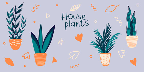 Vector Set of indoor houseplants in pots in Scandinavian style. Modern concept interior design elements