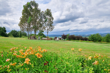 Fototapeta Piknik z przyjaciółmi na trawiastym wzgórzu z widokiem na cały świat, drzewa, kwiaty,, pochmurne niebo. obraz