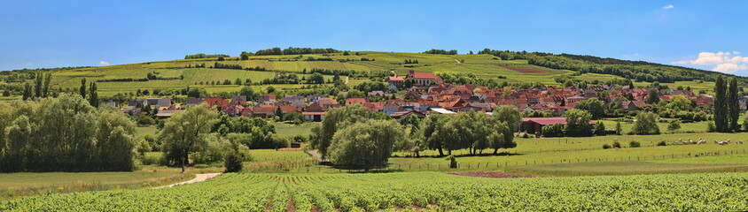 Fototapeta na wymiar Green landscape with a view towards the small rural village in Alsace along the wine road close to Flexbourg