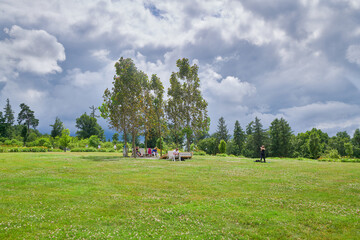 Piknik z przyjaciółmi na trawiastym wzgórzu z widokiem na cały świat, drzewa, kwiaty,, pochmurne niebo.