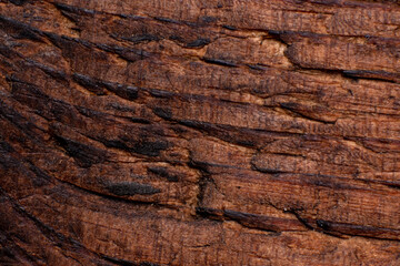 Texture of old wood close-up. Can be used as a background.