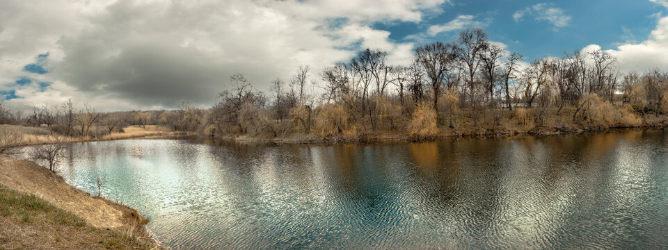 A beautiful, old pond in a forested area with aquatic plants and bare trees on the shore under
  cloudy spring sky.
