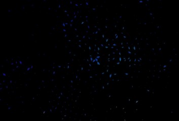 Dark BLUE vector doodle pattern.