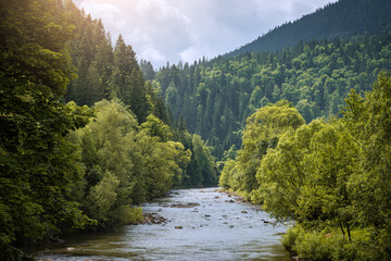 Carpathian mountain river in a morning sunlight