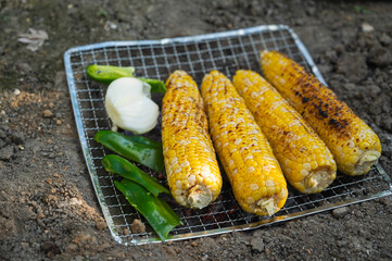起こした火で焼くトウモロコシと野菜