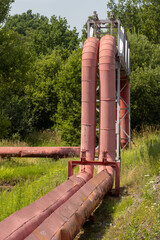 Hot water - steam pipes with bridging in summer nature