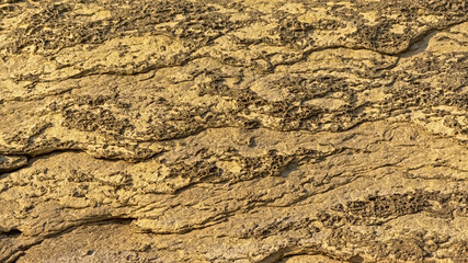 Sunny beige textured sandstone rocks along the French Opal coast along north sea