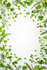 Various fresh herbs arranged in a frame. Cooking concept with spices garden herbs. Healthy food.Top view.
