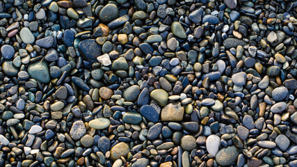 Multi-colored dark sea pebbles. Wet stones