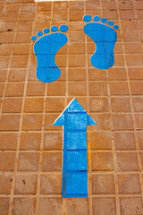 Persiguiendo al Bigfoot