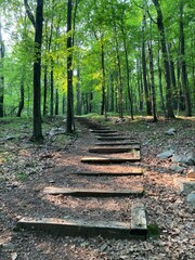Stairs on a footpath in the woods