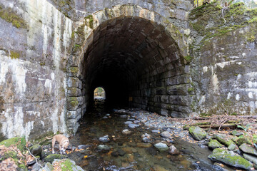 Old Railraod Tunnel with arch