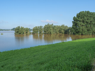 Hochwasser am Rhein bei Bislich