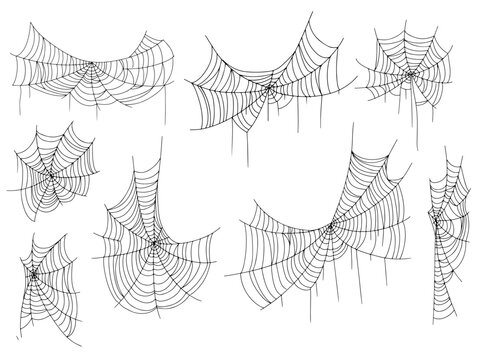 Beautiful spider web. Halloween decor. Decoration for the holiday. Vector illustration isolated on background.