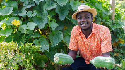 African farmer with hat is holding fresh papaya in the organic plantation field.Agriculture or...