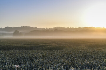 Im Nebel sieht man das ganze Ausmaß der Zerstörung
zweiter Tag nach dem Hochwasser in Kettwig und Mülheim an der Ruhr
