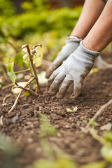 mujer latina trabajando en mantenimiento de jardin en un parque 