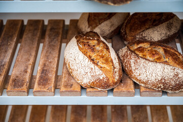 French bakery with fresh baked breads and buns