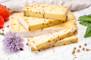 Cheese collection, matured cow cheese with mustard seeds from Belgium