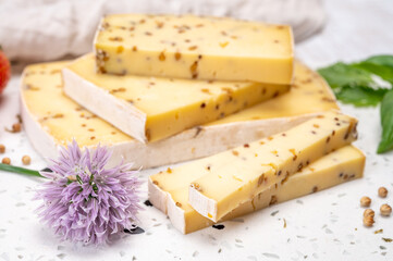 Cheese collection, matured cow cheese with mustard seeds from Belgium