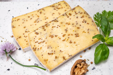 Cheese collection, matured cow cheese with mustard seeds from Belgium