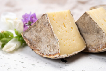 Cheese collection, matured cow cheese with mold tommette de savoie from France, cheese made in Alpine mountains