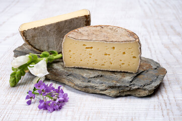 Cheese collection, matured cow cheese with mold tommette de savoie from France, cheese made in Alpine mountains