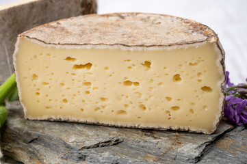 Cheese collection, matured cow cheese with mold tommette de savoie from France, cheese made in Alpine mountains