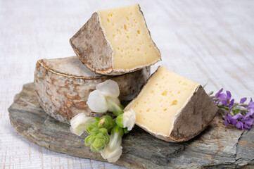 Cheese collection, matured cow cheese with mold tommette de savoie from France, cheese made in Alpine mountains