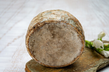 Cheese collection, matured cow cheese with mold tommette de savoie from France, cheese made in Alpine mountains