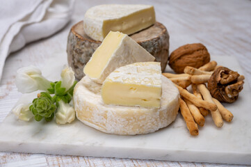 Cheese collection, fresh white soft cow cheese with mold from Swiss and tommette de savoie from France, cheese made in Alpine mountains