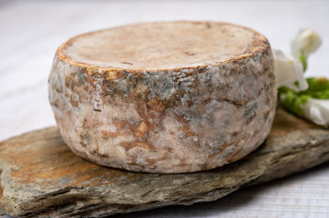 Cheese collection, matured cow cheese with mold tommette de savoie from France, cheese made in Alpine mountains