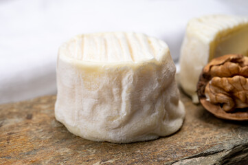 Fototapeta na wymiar Cheese collection, soft goat French cheese with mold crottin de Chavignol produced in Loire Valley