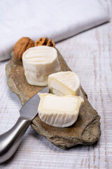 Cheese collection, soft goat French cheese with mold crottin de Chavignol produced in Loire Valley