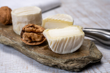 Cheese collection, soft goat French cheese with mold crottin de Chavignol produced in Loire Valley