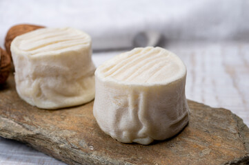 Cheese collection, soft goat French cheese with mold crottin de Chavignol produced in Loire Valley