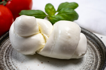 South Italian soft white mozzarella cheese made from buffalo cows milk served with ripe tomatoes and fresh green basil herb