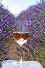 Summer in French Provence, cold gris rose wine from Cotes de Provence and colorful lavender fields on Valensole plateau, tastes and aromas of Provence, France