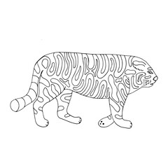 Funny tiger. Vector character in cartoon style. Hand drawn in doodle style. Isolated. Coloring pages for children and adults. Can be used in your projects in banners and posters and postcards