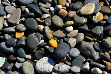 Sea pebbles close-up. Background image.