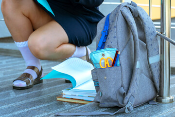  schoolgirl on the background of the school. Concept  school days, Back to school. girl in a ...