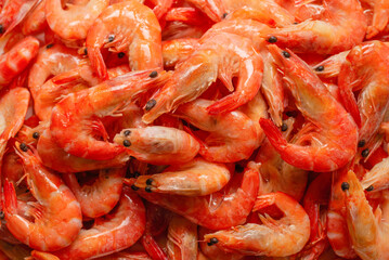Shrimps background texture. A lot of shrimps. Cooked shrimps.